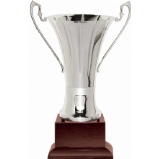 Silver Finish Trophy Cup