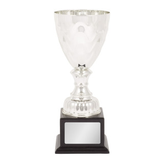 Classic Cup (Gold or Silver) From $25.50